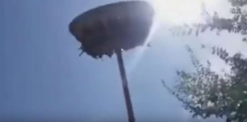       :    dqxikeidqxitkant