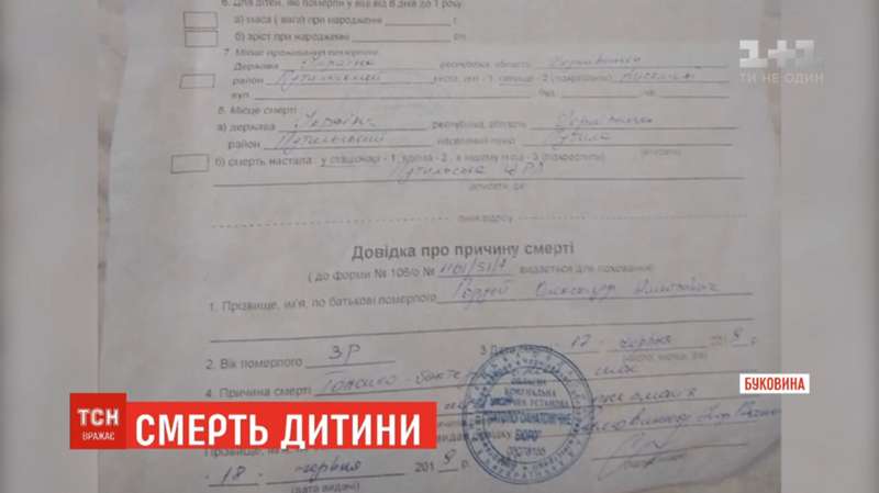 Заключение о смерти