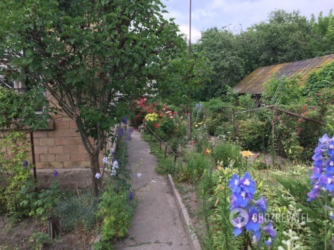 Тут живут люди