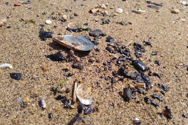   :       dqxikeidqxitkant