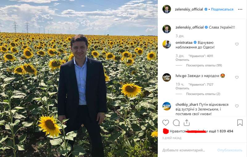 Зеленский оказался в подсолнухах не один, фото dqxikeidqxitkant