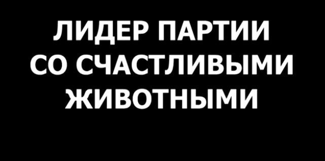 95 квартал в день тишины поиздевался над кандидатами, видео
