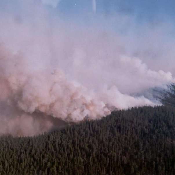 ÐожаÑÑ Ð² СибиÑи dqxikeidqxiqqeant