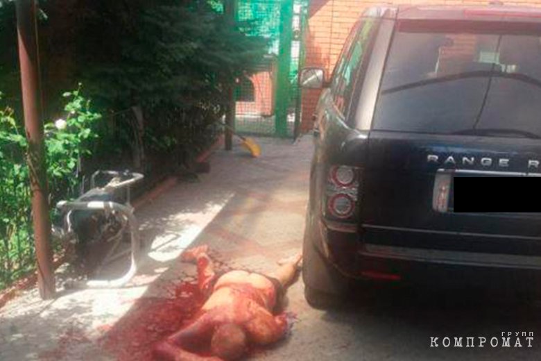 petrik.jpg dqxikeidqxitkant