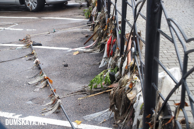 Ночной ураган в Одессе повалил десятки деревьев, оборвал провода, повредил транспорт 12 Ночной ураган в Одессе повалил десятки деревьев, оборвал провода, повредил транспорт 12