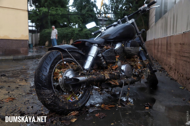 Ночной ураган в Одессе повалил десятки деревьев, оборвал провода, повредил транспорт 16 Ночной ураган в Одессе повалил десятки деревьев, оборвал провода, повредил транспорт 16