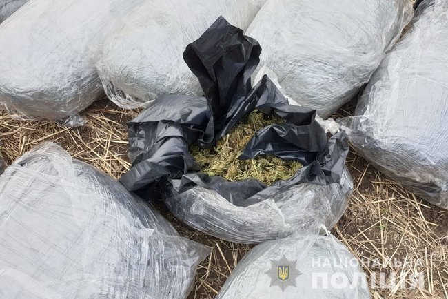 150 кг марихуаны: полицейские обнаружили в лесополосе на Луганщине склад наркотиков 02 150 кг марихуаны: полицейские обнаружили в лесополосе на Луганщине склад наркотиков 02