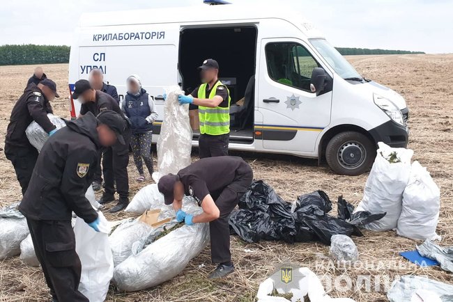 150 кг марихуаны: полицейские обнаружили в лесополосе на Луганщине склад наркотиков 04 150 кг марихуаны: полицейские обнаружили в лесополосе на Луганщине склад наркотиков 04