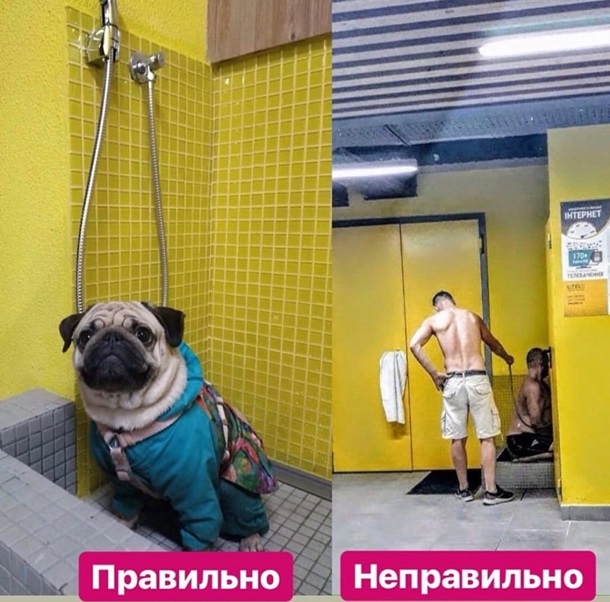    –  dqxikeidqxiqqeant