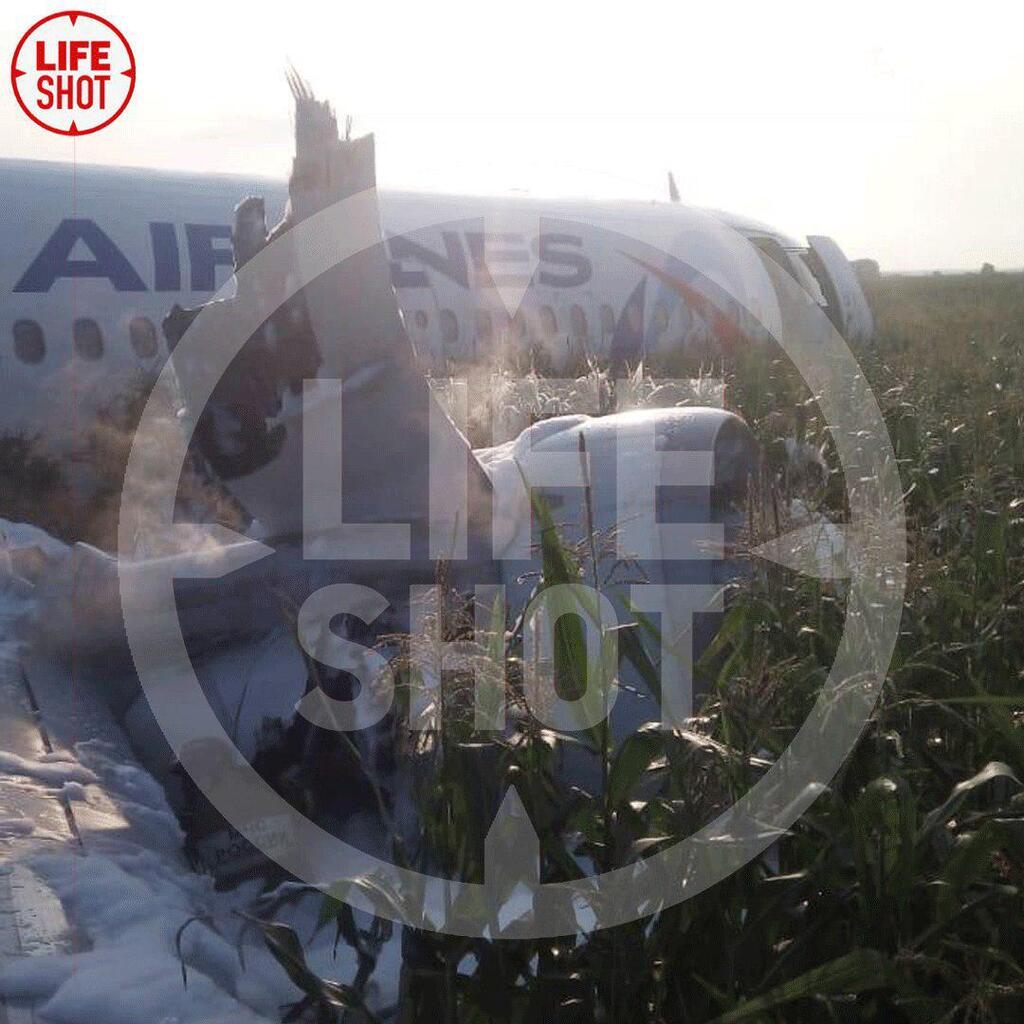 Летевший в Крым самолет загорелся и сел среди поля: десятки пострадавших