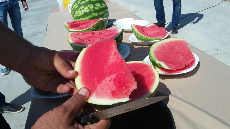 ÐÑбÑÐ·Ñ Ð¿ÑибÑли из ХеÑÑона на ÐиевÑинÑ. ФоÑо: "ÐибÑлон"