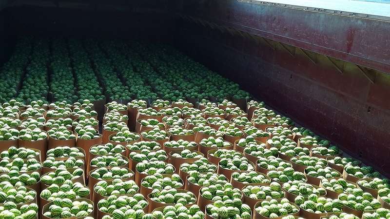 ÐÑбÑÐ·Ñ Ð¿ÑибÑли из ХеÑÑона на ÐиевÑинÑ. ФоÑо: "ÐибÑлон"