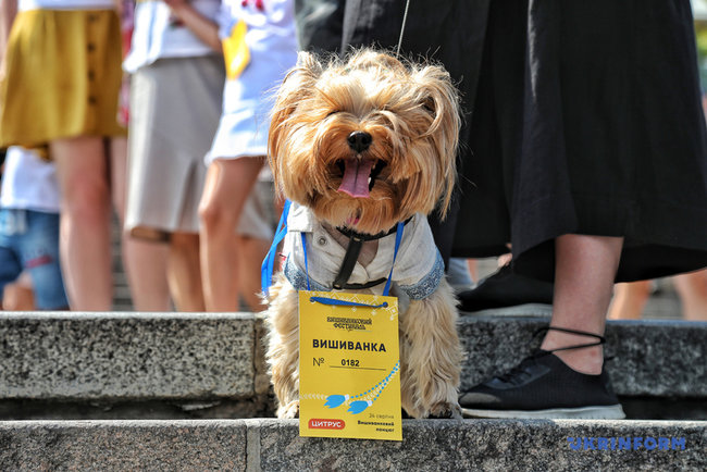Ð‘Ð¾Ð»ÐµÐµ 1,2 Ñ‚Ñ‹ÑÑÑ‡Ð¸ Ñ‡ÐµÐ»Ð¾Ð²ÐµÐº Ð¾Ð±Ñ€Ð°Ð·Ð¾Ð²Ð°Ð»Ð¸ Ð²Ñ‹ÑˆÐ¸Ð²Ð°Ð½ÐºÐ¾Ð²ÑƒÑŽ Ñ†ÐµÐ¿ÑŒ ÐºÐ¾ Ð”Ð½ÑŽ ÐÐµÐ·Ð°Ð²Ð¸ÑÐ¸Ð¼Ð¾ÑÑ‚Ð¸ Ð² ÐžÐ´ÐµÑÑÐµ 09