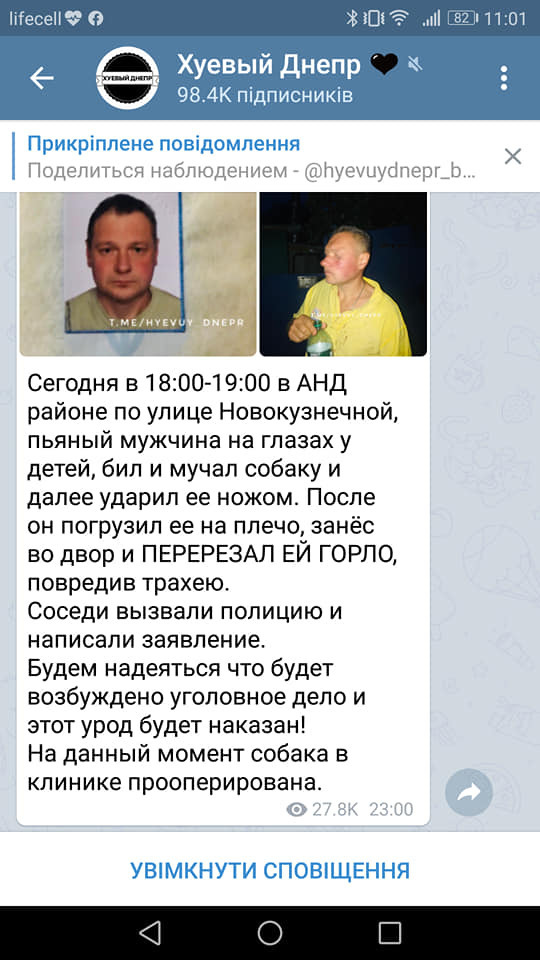    :        dqxikeidqxitkant