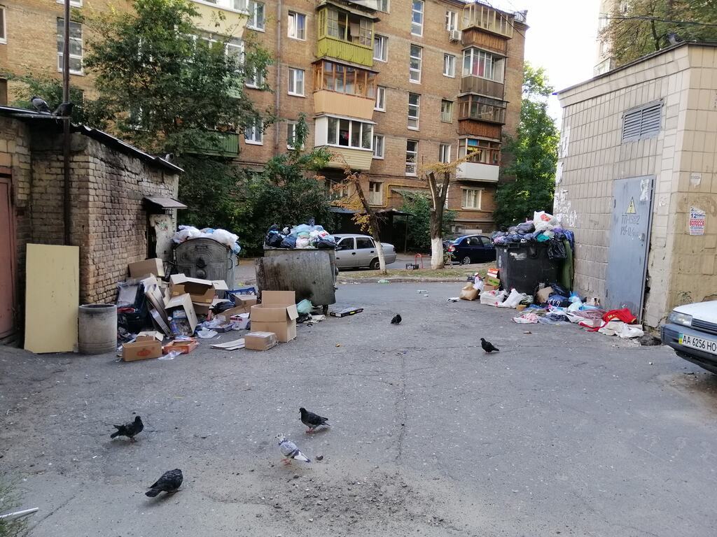 Спасибо за мусорную реформу! dqxikeidqxitkant