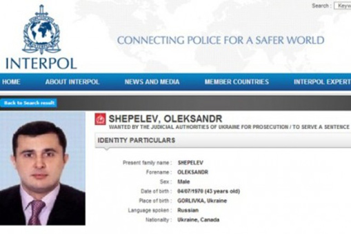 33012015shepelev4 dqxikeidqxitkant