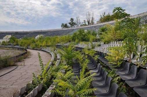 " ":       dqxikeidqxiqqeant