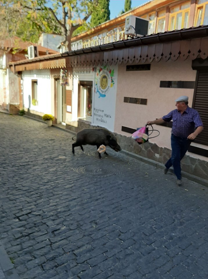   :        .  dqxikeidqxidant