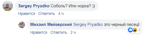 "В Раду пришел черный песец": в сеть попало курьезное видео из парламента