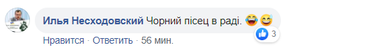 "В Раду пришел черный песец": в сеть попало курьезное видео из парламента