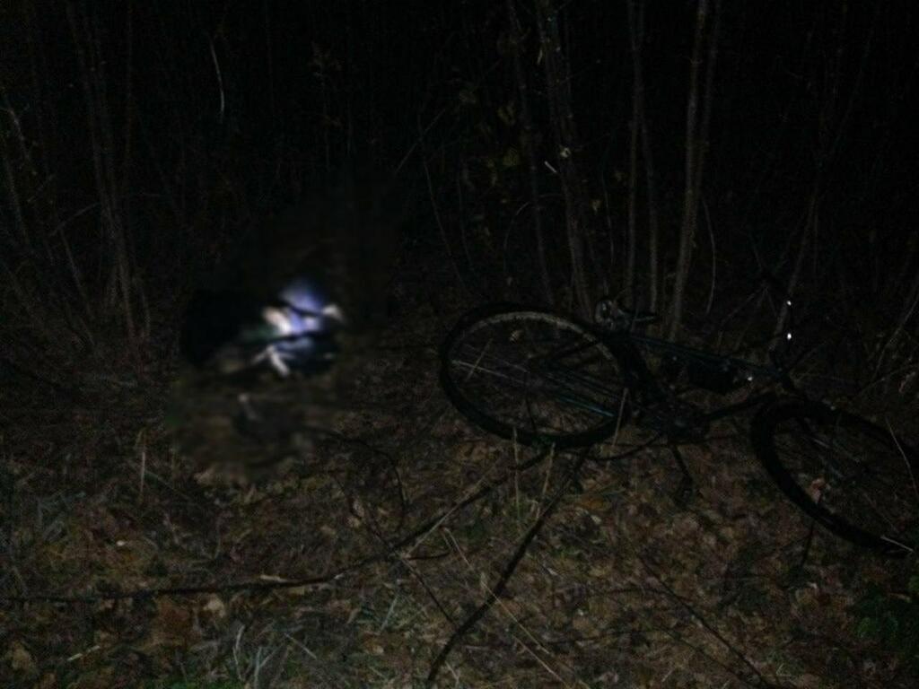 Место ДТП dqxikeidqxiqqeant