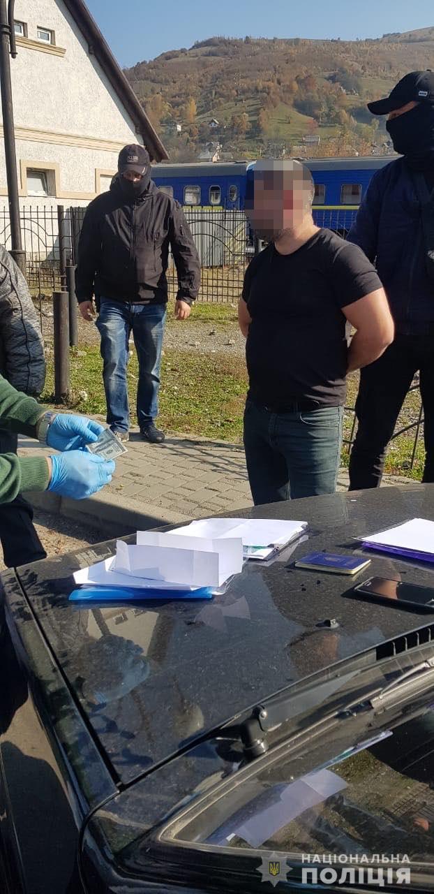     ,    , -  01 dqxikeidqxiqqeant