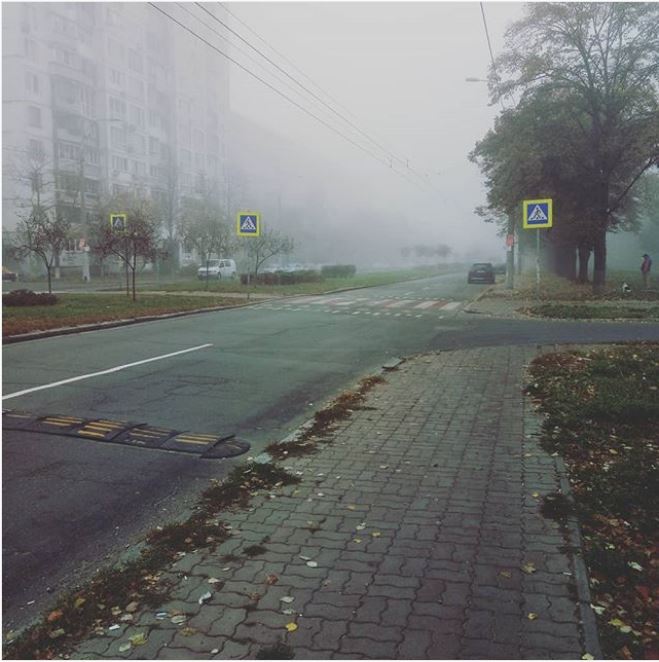 Из Instagram olegnikitindev