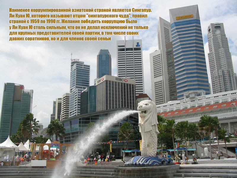 : stopotkat.ne dqxikeidqxidant