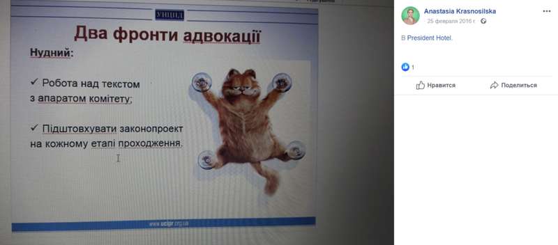 "Бесценное" имущество: в декларации "Слуги народа" нашлась кошка Маруся, ее фото