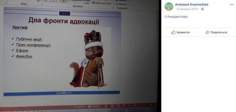 "Бесценное" имущество: в декларации "Слуги народа" нашлась кошка Маруся, ее фото