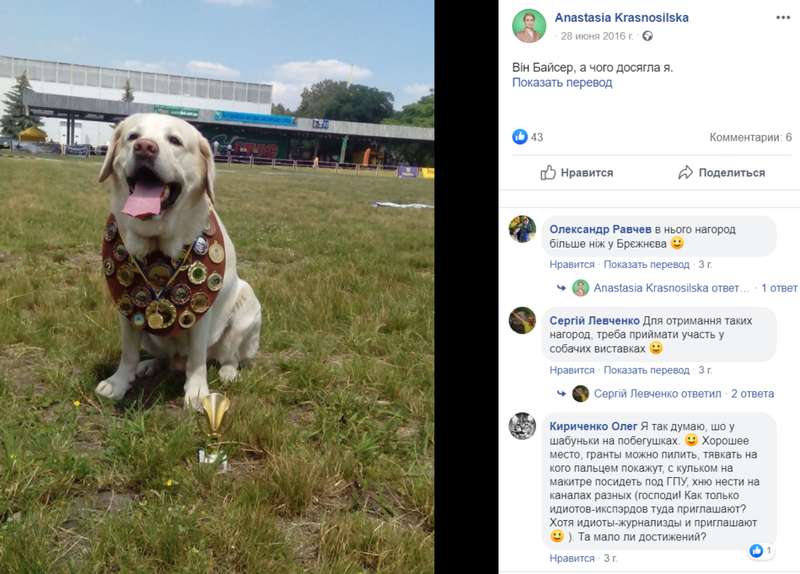 "Бесценное" имущество: в декларации "Слуги народа" нашлась кошка Маруся, ее фото