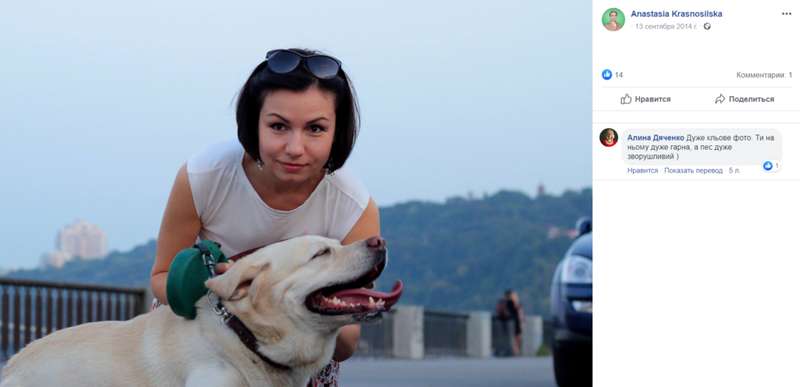 "Бесценное" имущество: в декларации "Слуги народа" нашлась кошка Маруся, ее фото