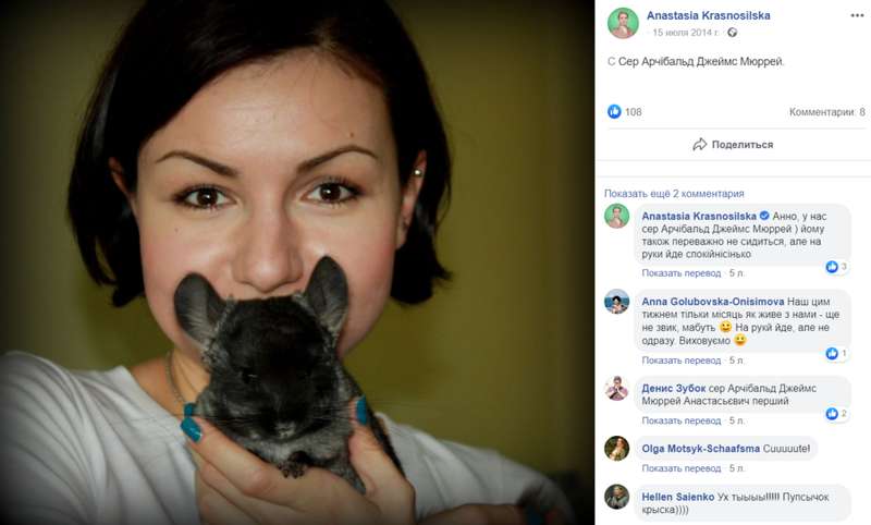 "Бесценное" имущество: в декларации "Слуги народа" нашлась кошка Маруся, ее фото