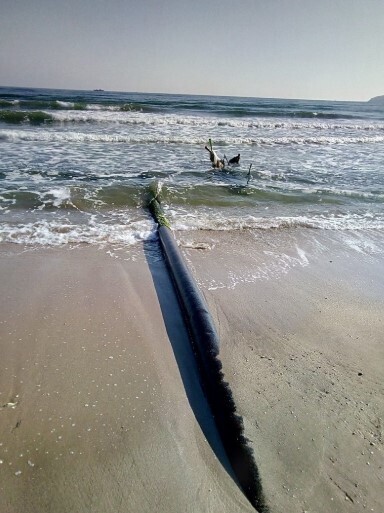 В Феодосии фекалии сливают в море dqxikeidqxitkant