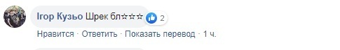 "Шрек, б*ядь": Алена Мозговая потроллила Стефанчука из-за тещиной квартиры