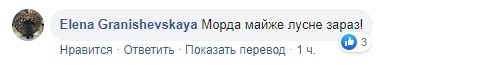 "Шрек, б*ядь": Алена Мозговая потроллила Стефанчука из-за тещиной квартиры