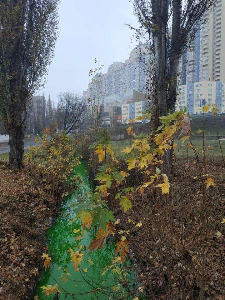 дарница dqxikeidqxiqqeant