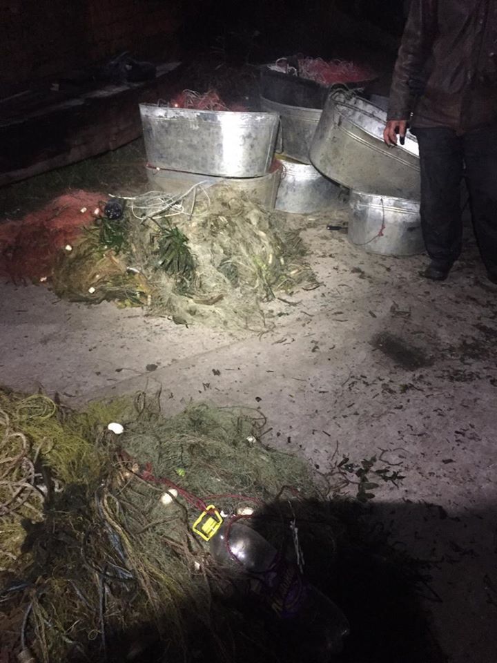        ,        dqxikeidqxiqqeant