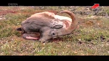 Посмотреть изображение в Твиттере Посмотреть изображение в Твиттере