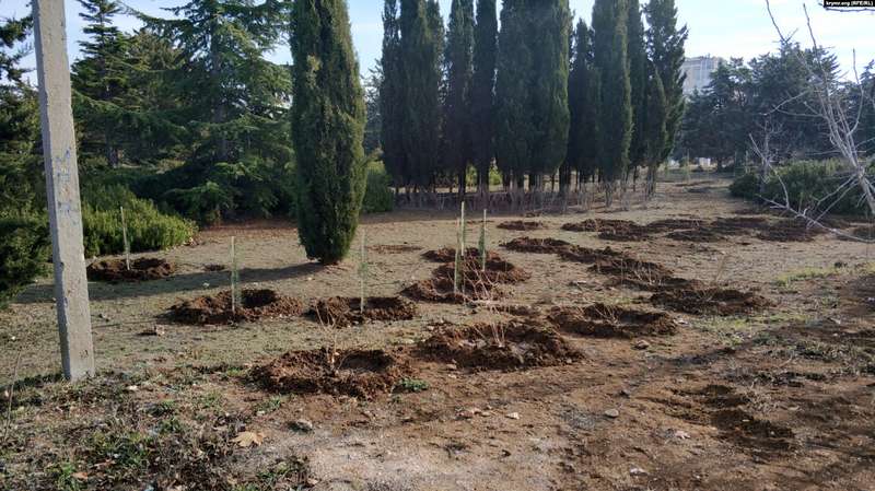 Строительные компании избегают работать в оккупированном Севастополе