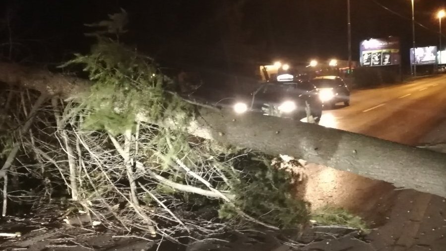 Протестующие перекрыли дорогу dqxikeidqxiqqeant