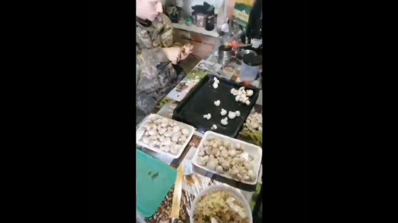 " !"         dqxikeidqxitkant