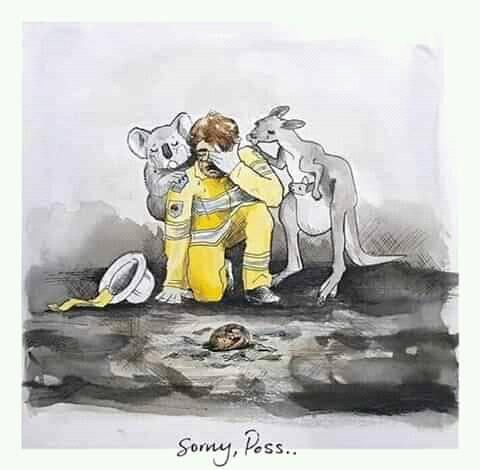 Нет описания фото.