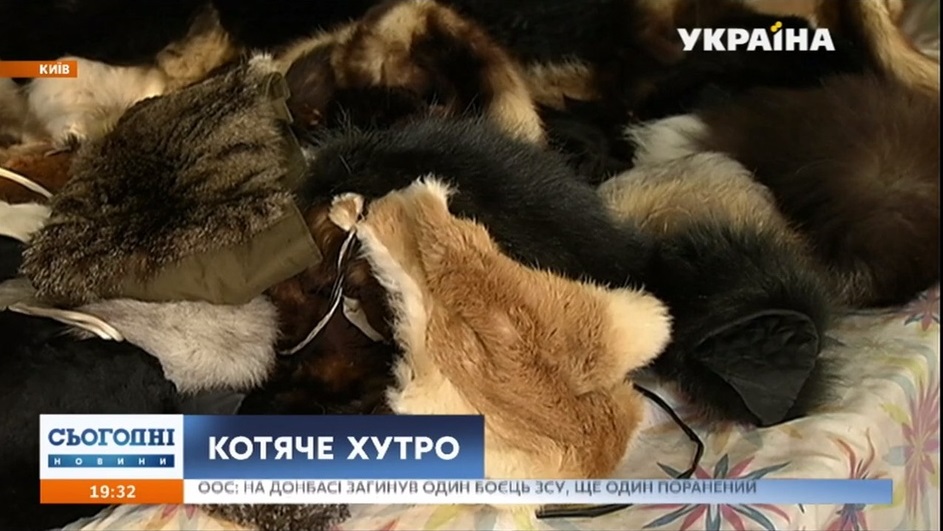 На столичном рынке обнаружили мех, похожий на кошачий. Скриншот: segodnya.ua dqxikeidqxitkant