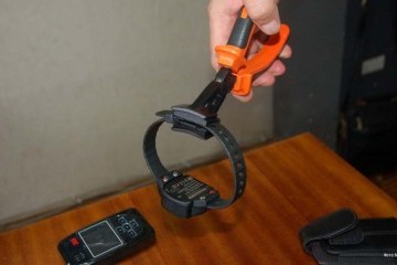 -     –  -  194895