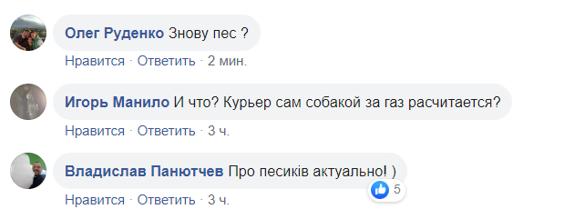"Чтобы собачка не потерялась!" "Укрзалізниця" рассмешила сеть новой услугой для пассажиров