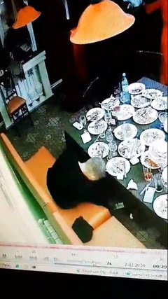 В Николаеве офицер полиции на встрече выпускников обокрал четырех бывших одноклассников - Copyright https://news.pn