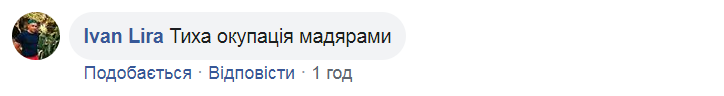 "Так было в Крыму": на Закарпатье разгорелся скандал из-за Венгрии