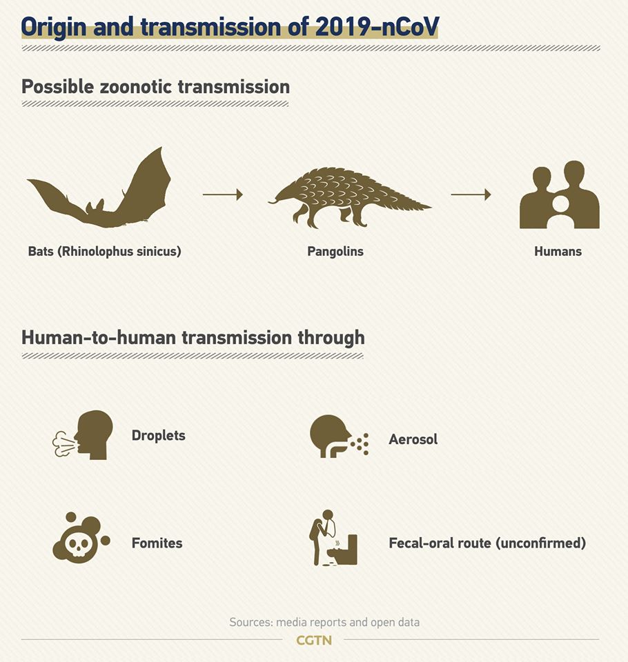 Все, что нужно знать о коронавирусе сегодня