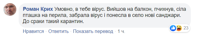 Журналист предложил развлечь эвакуированных в Новых Санжарах